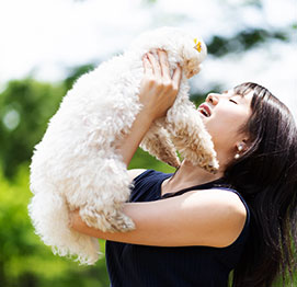 イメージ：愛犬と寛ぐ、新しい”DOG RYOKAN”スタイルリゾート